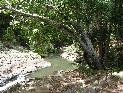 At Currumbin Rock Pool