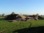 A pile of pallets, Friday morning